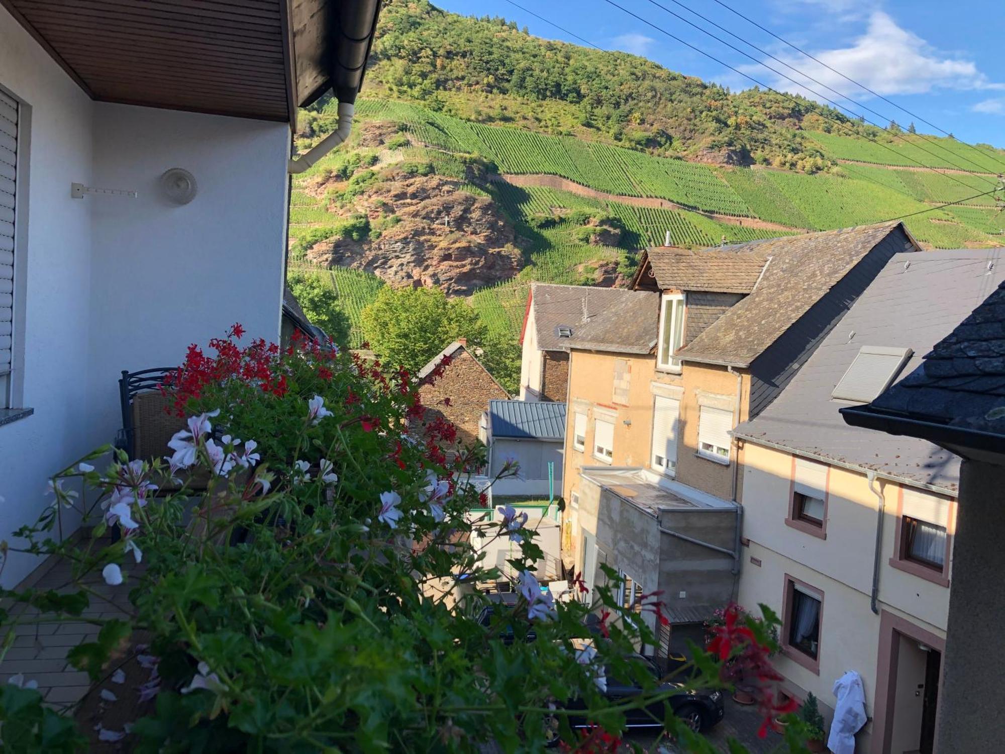 Winzerhaus Im Oberdorf - Fewo U Zimmer - Auch Kombinierbar Эрден Экстерьер фото